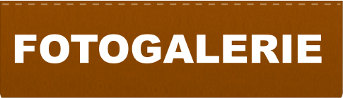 FOTOGALERIE