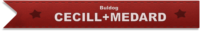 CECILL+MEDARD Buldog